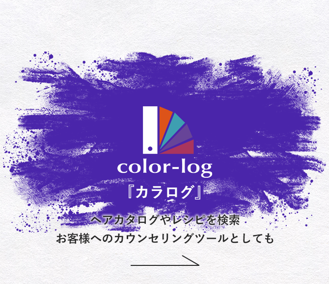 b-ex COLOR LOG 『カラログ』